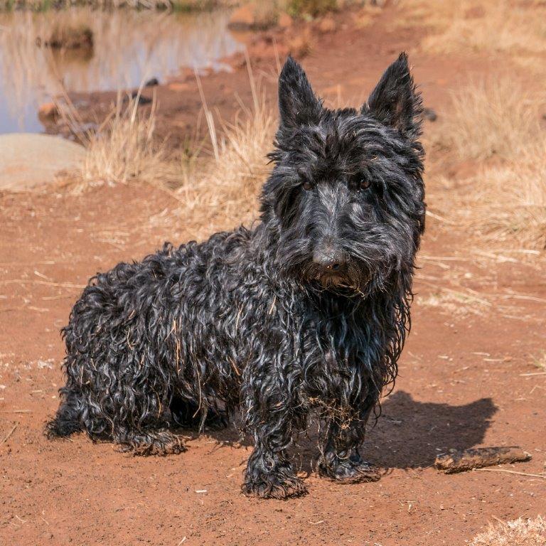 1168710D-8C5D-4968-BADE-1D9FE49B8E52