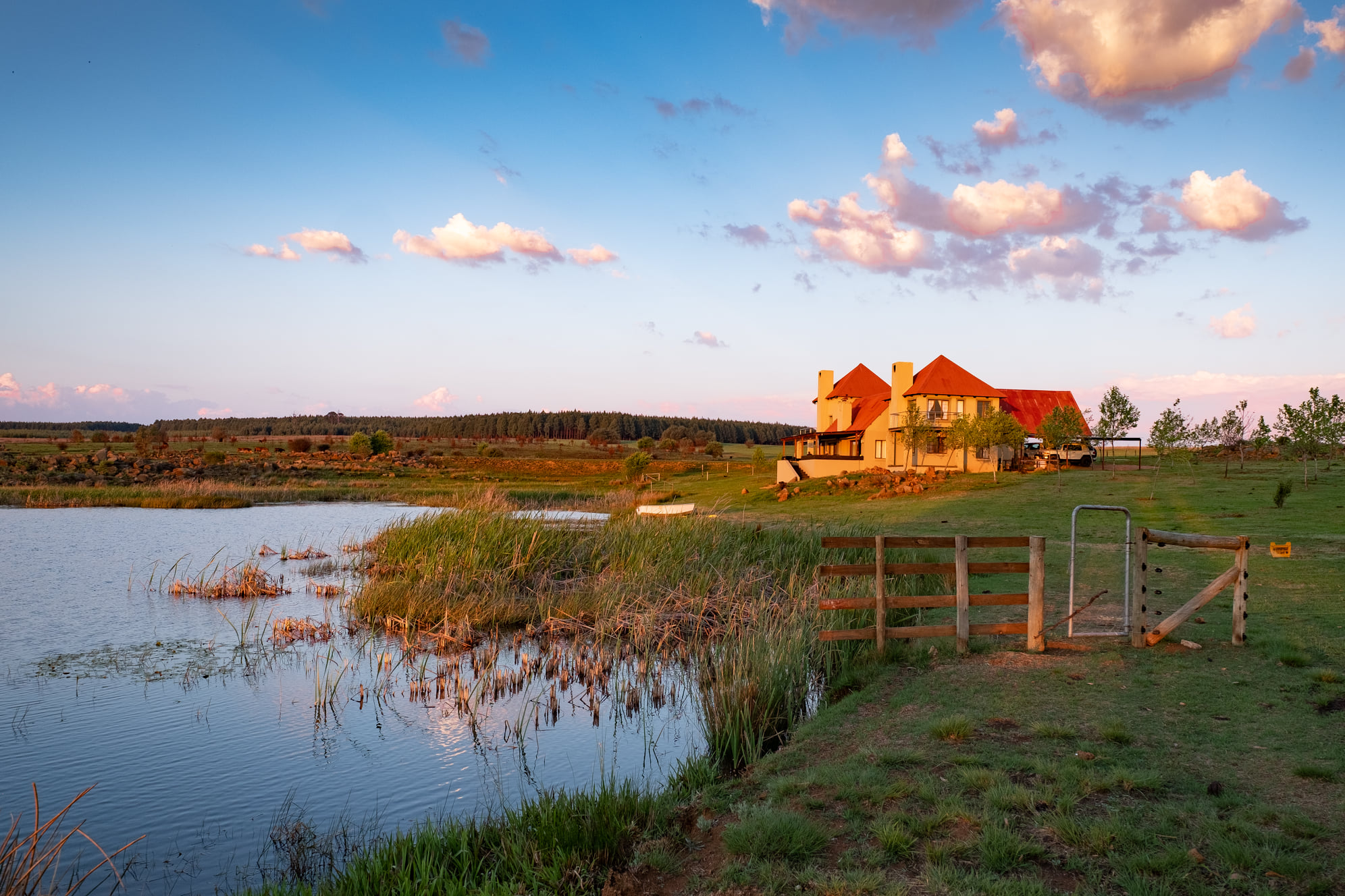 121565730_2806967536292551_5993828716728679257_o