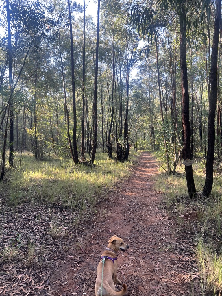 1A7D272A-0645-48BE-AD97-A5D1E3AAC0E9_1_105_c