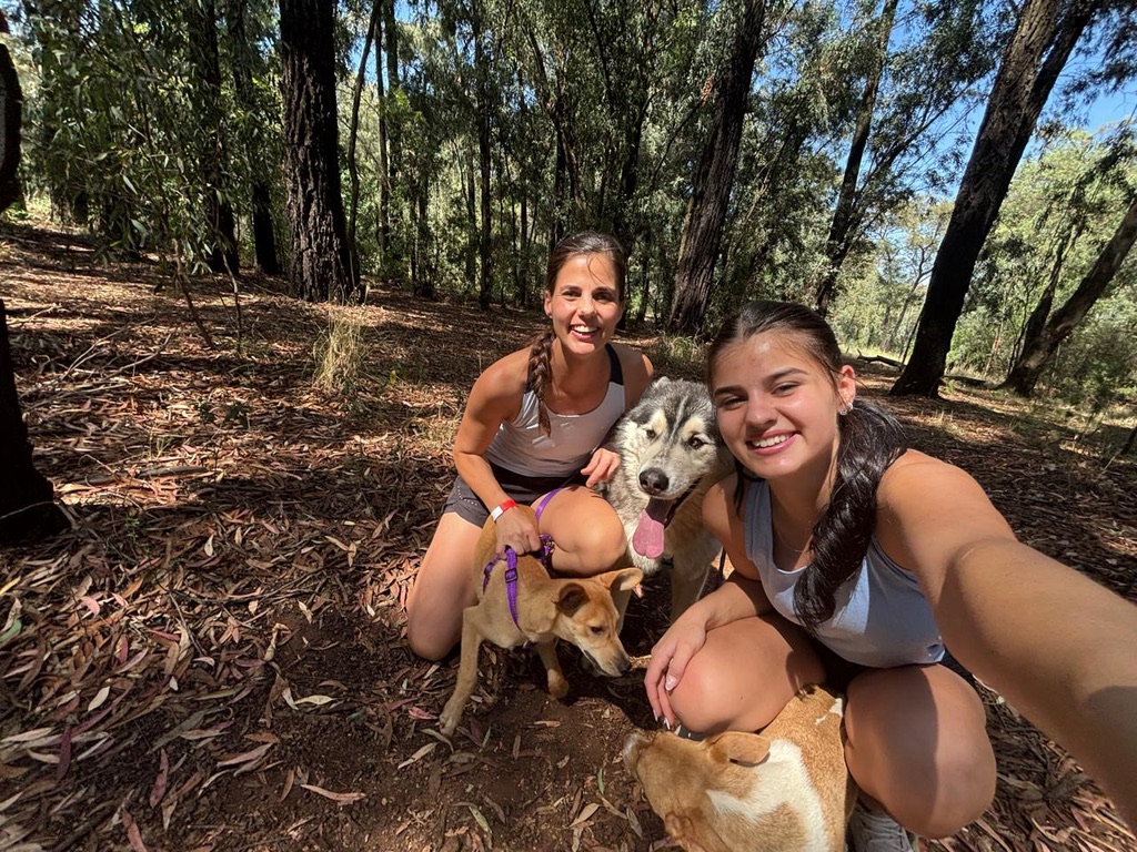 477A4138-5CC1-4155-9FA3-623D9A13E772_1_105_c