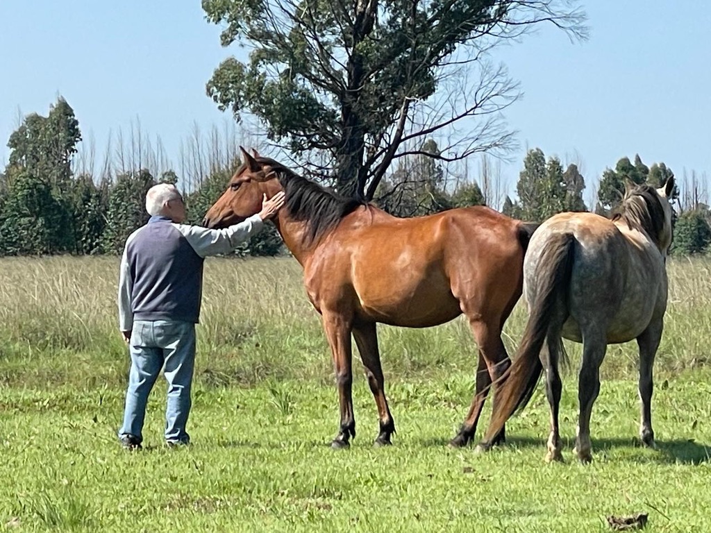 8A85BE38-BF90-42C7-B870-6567F80D9D25_1_105_c