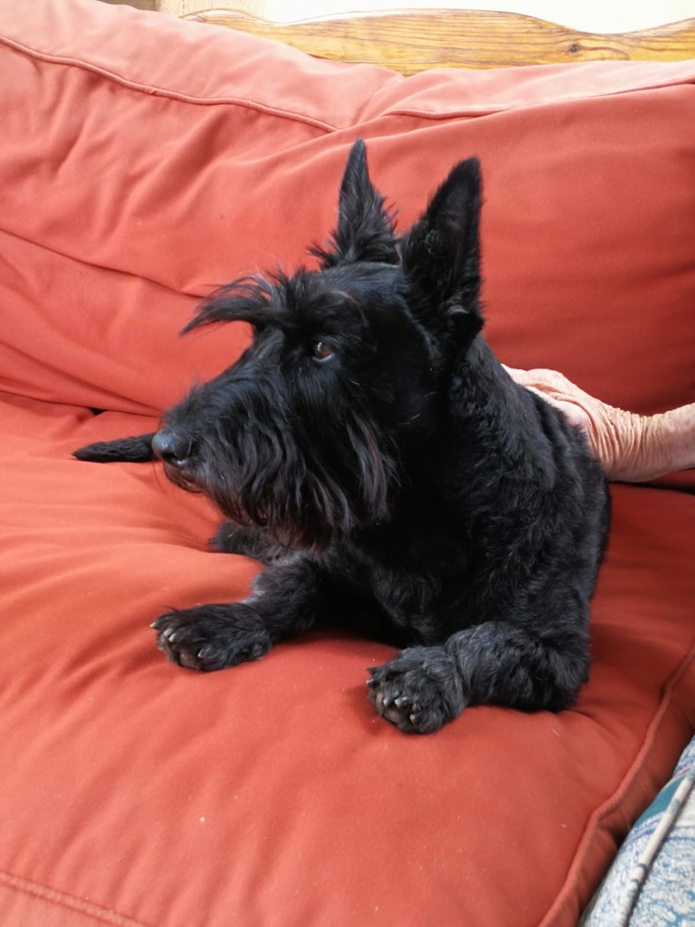 BAD85048-BF5E-49F4-A28C-8B9FCEA56F5D_1_105_c