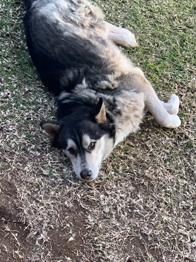 BB6A117E-6CD0-4BE4-8543-BAE5736C9736_1_105_c