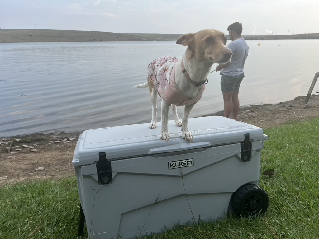 C8A96F7A-F615-410E-902D-5B9C05EB6A50_1_105_c