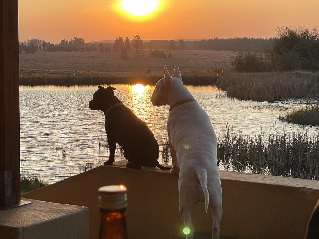 CE8933EC-F980-4D45-9D9D-9C54CD636258_1_105_c