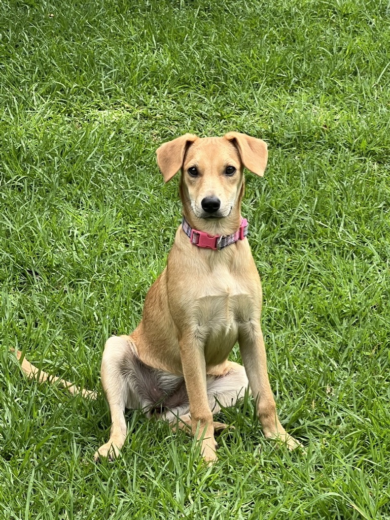 E3955B70-C822-4BE8-8FEC-6A42CABA62FB_1_105_c