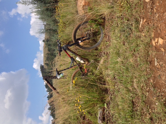 post-17464-0-38210000-1524323729